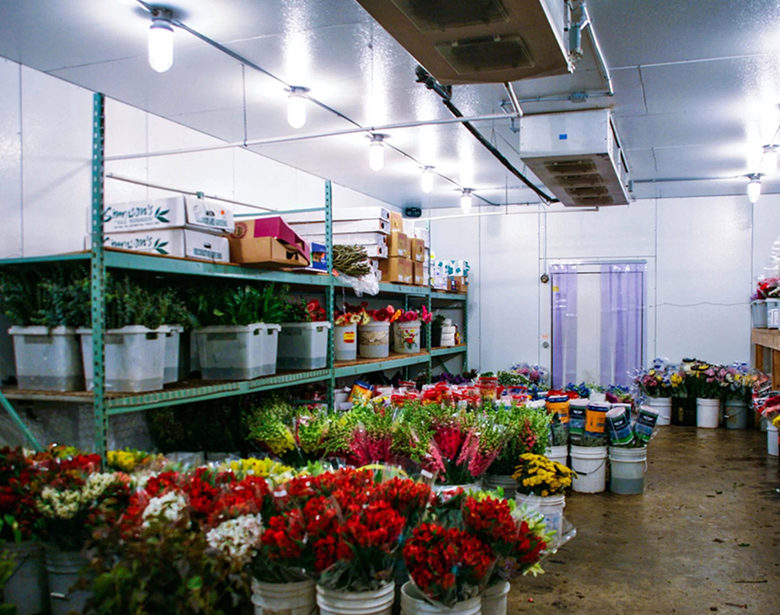 CFA For Flowers